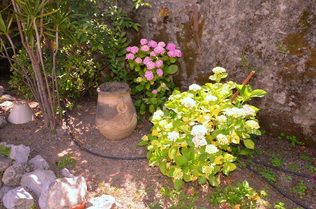 Hotel Del Sole Al Plebiscito サプリ エクステリア 写真